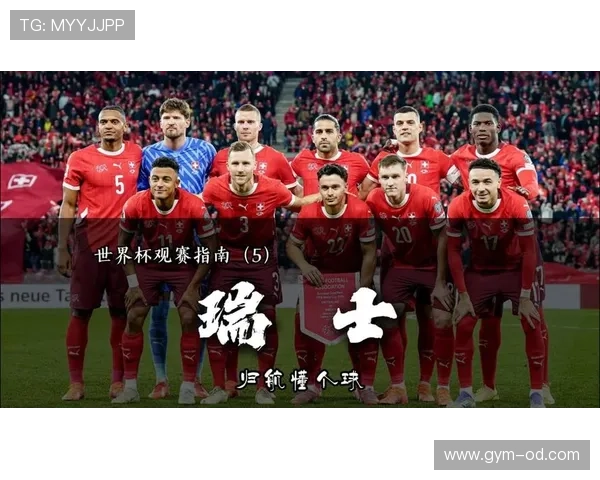 世界杯B组瑞士对手实力分析出炉 世界杯B组瑞士对手实力分析出炉