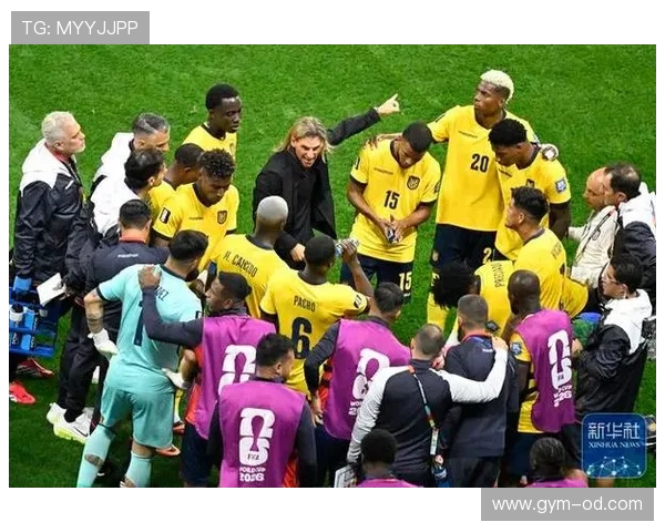 东道主墨西哥晋级16强：厄瓜多尔止步32强